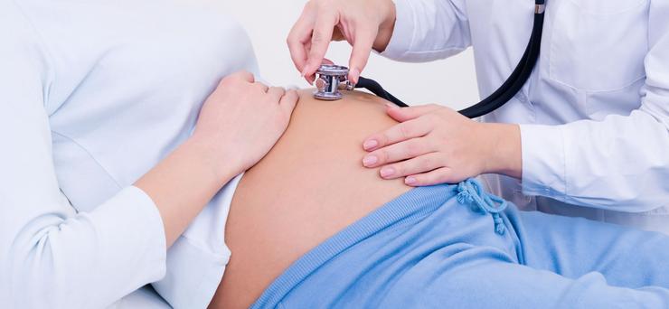 31/8: Día de la Obstetricia, la Embarazada y la Partera Argentina